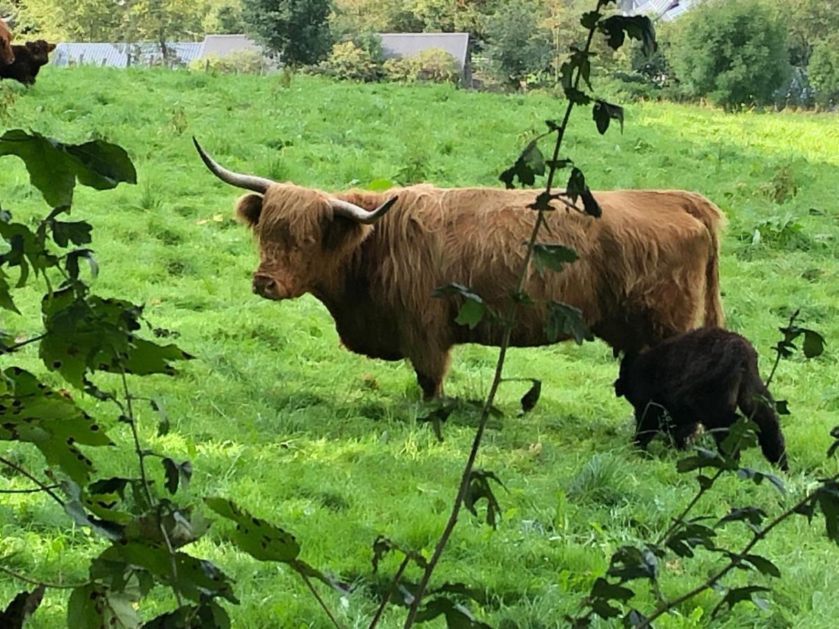Schoene Aussicht Sauerland By Koelbel Familienurlaub Mit Hund Schmallenberg Eksteriør billede